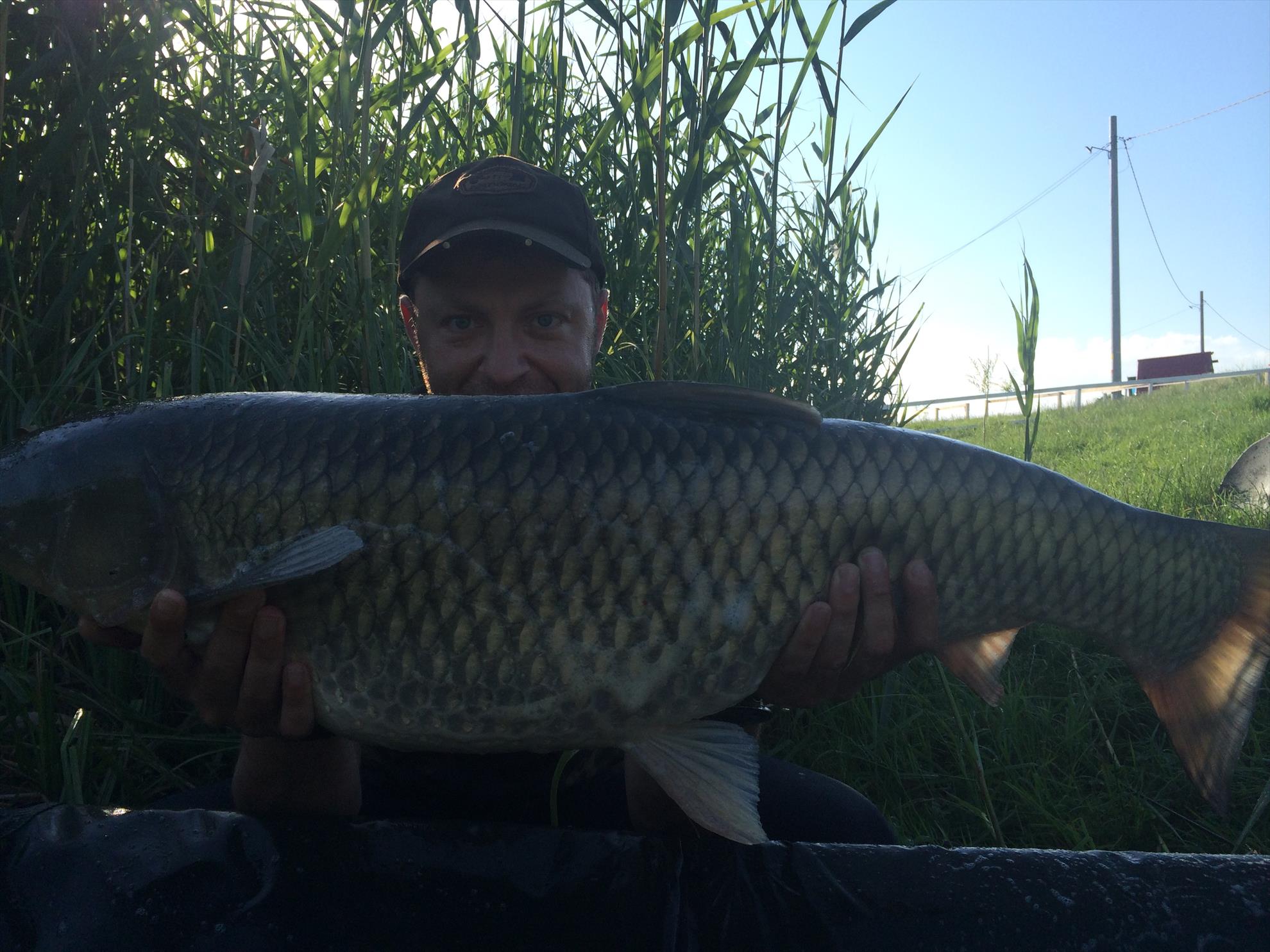 Pescuit Balta Lazar 6-8 iunie 2014 - img0661.JPG